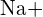 Rendered by QuickLaTeX.com \text{Na+}