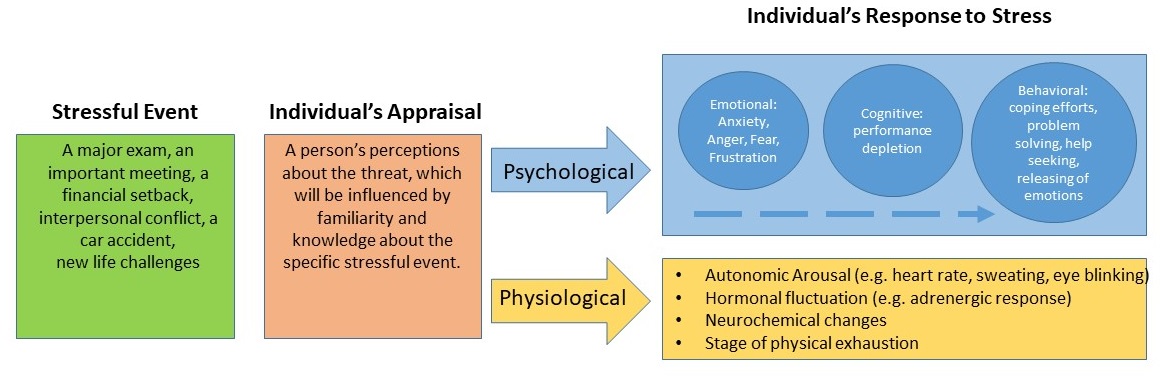 Stress and Coping Assessment Chapter 51 - Cambridge Handbook of  Psychology Health and Medicine