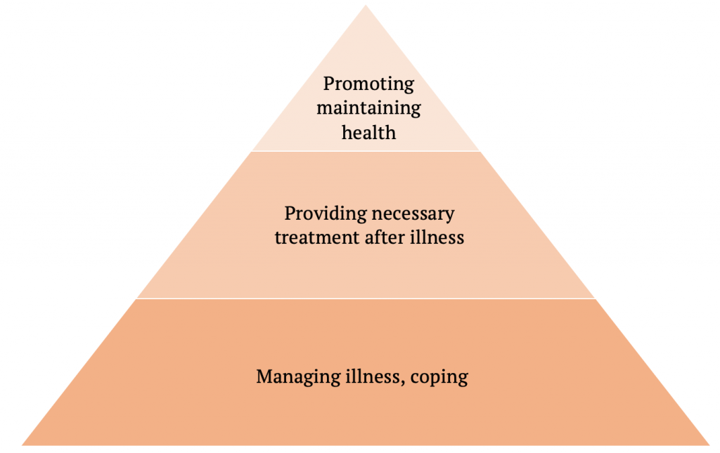 Prevention And Promotion Introduction To Community Psychology