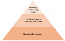 Prevention And Promotion – Introduction To Community Psychology