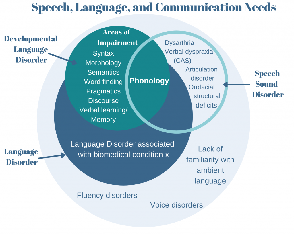 Defining Language Disorder – Language Disorders In School-Age Children ...