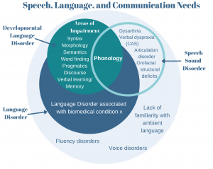 Developmental language disorder includes impairment in syntax, morphology, semantics, word finding, pragmatics, discourse, or verbal learning/memory. Phonology is included in both devvellopmental language disorder and speech sound disorders. Speech sound disorders include dysarthria, verbal dyspraxia, articulation disorder, and orofacial structural deficits. Language disorder includes language disorder associated with a biomedical condition. Fluency disorders, voice disorders, and lack of familiarity with the ambient language are also communication needs.