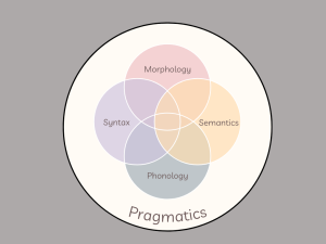 Morphology, syntax, semantics, phonology in a venn diagram inside a circle labled pragmatics