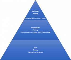 Disciplinary literacy