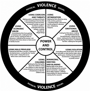 domestic violence case study examples