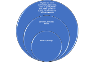 Image of the multicausation model