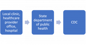 National Notifiable Diseases Surveillance System (NNDSS):