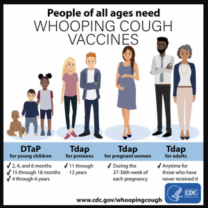 People need the Tdap vaccination at various ages throughout their life. At 2, 4, and 6 months; at 15 through 18 months; and 4 through 6 years; at 11 through 12 years; during the last part of pregnancy; and anyone who has never been vaccinated.