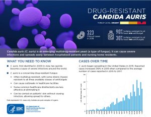 Fact sheet on drug-resistant candida auris