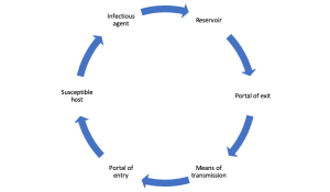 Chain of Infection