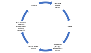 Chain of Infection Example