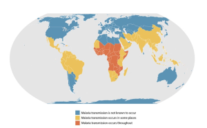 Malaria prevalence worldwide