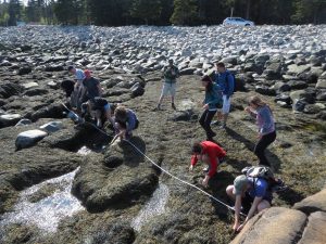 Aging Seaweed