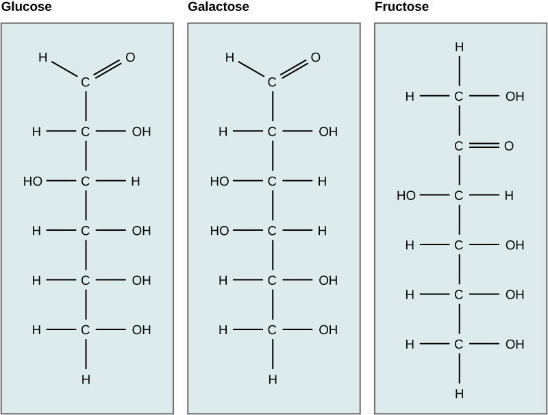 Фруктоза атомы. Галактоза формула химическая. Галактоза структура. Глюкоза и галактоза. Глюкоза фруктоза галактоза.