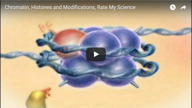Video on chromatin, histones and modifications