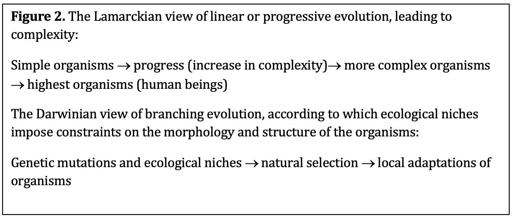 explain darwin's theory of natural selection