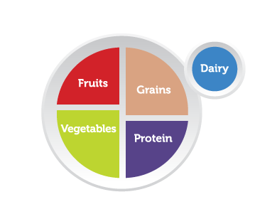 Infographic showing a picture of a plate divided into four segments: One segment is labeled &quot;Fruits,&quot; one is labeled &quot;Grains,&quot; one is labeled &quot;Protein,&quot; and the last is labeled &quot;Vegetables.&quot; Next to the plate is a circle (suggesting a cup or glass) that's labeled &quot;Dairy.&quot;